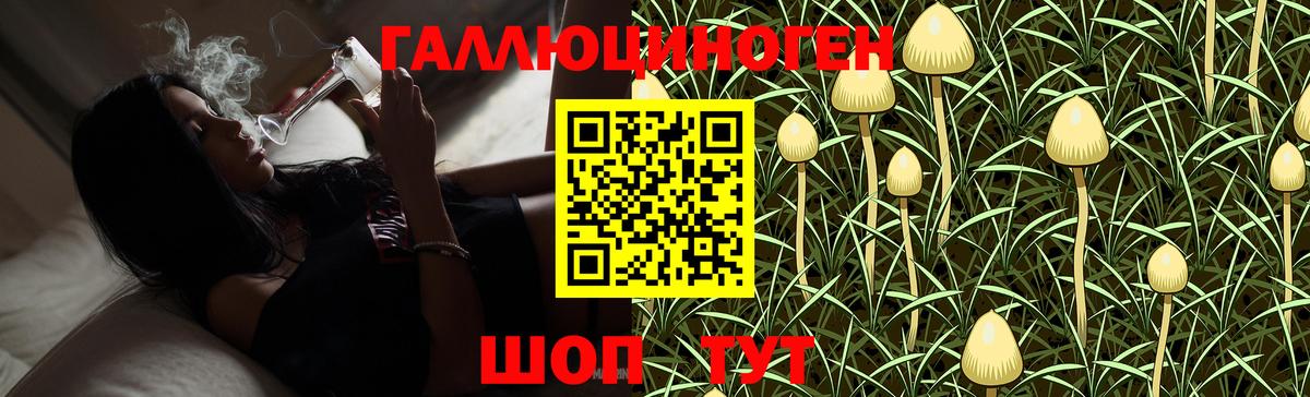 Галлюциногенные грибы MAGIC MUSHROOMS Видное